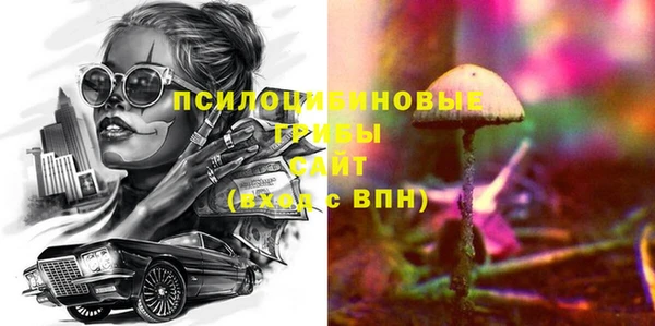 a pvp Дмитровск