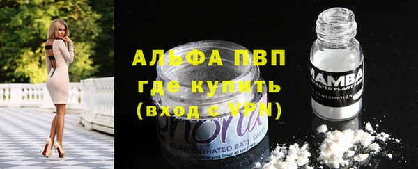 эйфоретик Дмитров